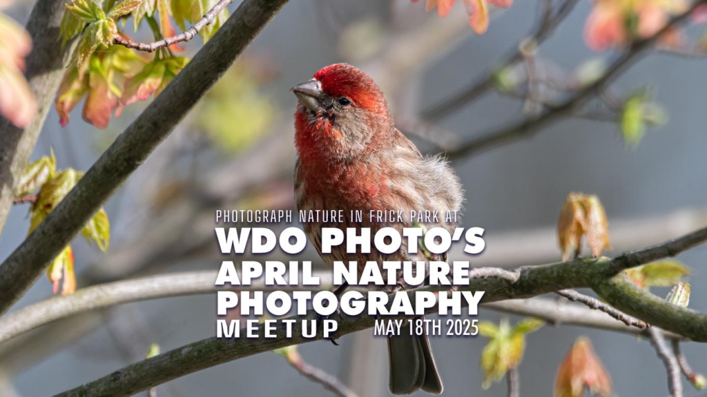 May Pittsburgh Nature Photography Meetup