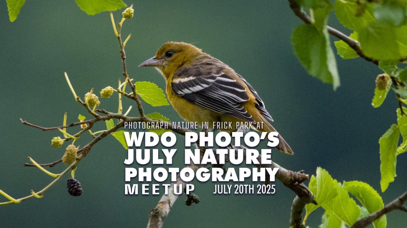July Nature Photography Meetup