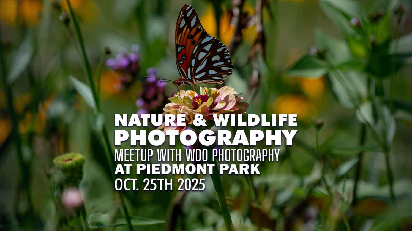 Featured image for “Atlanta Nature Photography Meetup”