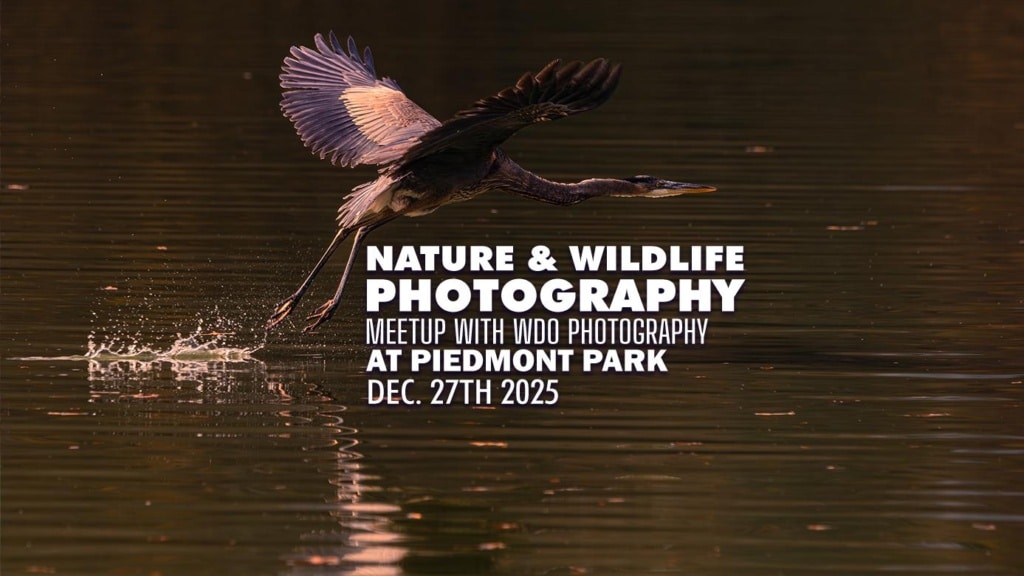 Atlanta Nature Photography Meetup - December 2025