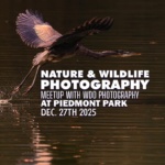 Atlanta Nature Photography Meetup - December 2025