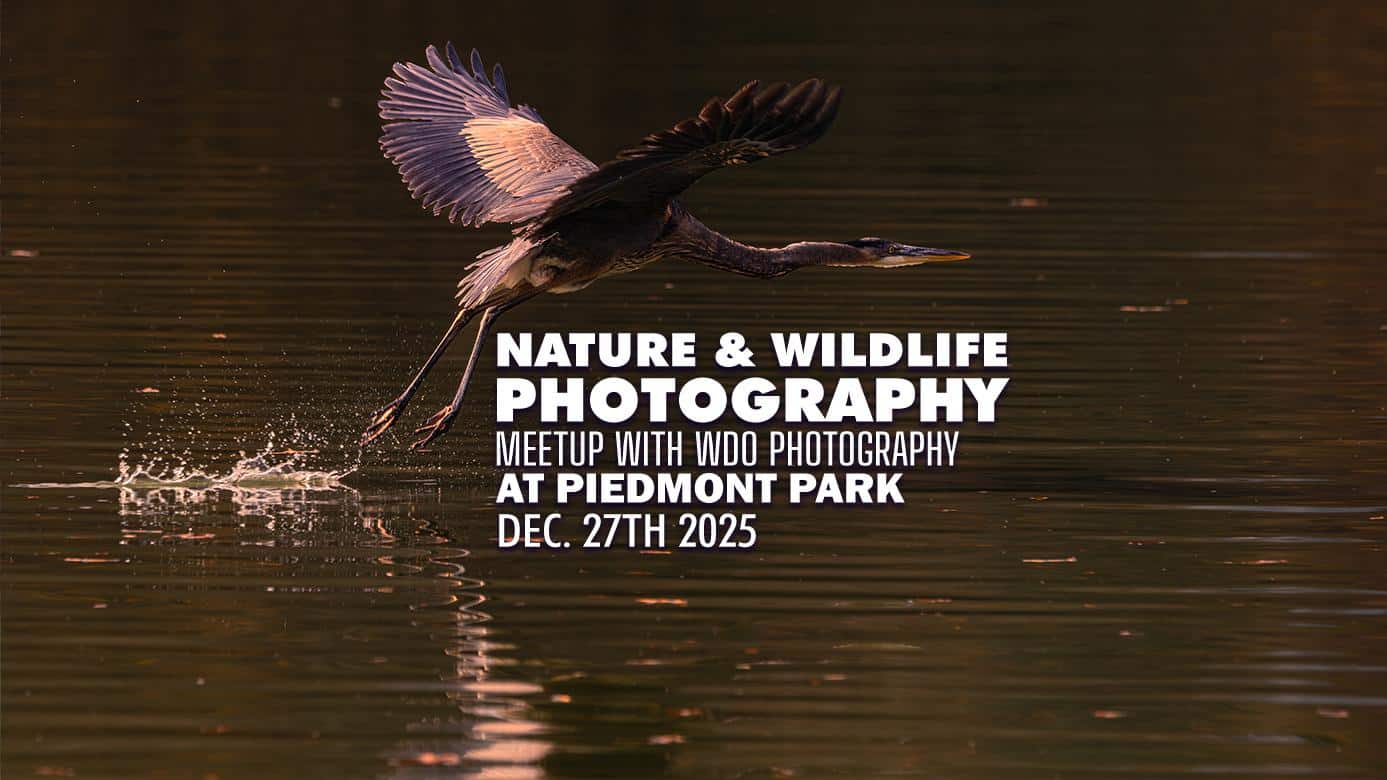 Featured image for “Atlanta Nature Photography Meetup – December 2025”