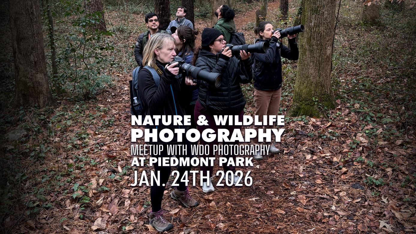 Atlanta Nature Photography Meetup - January 2026