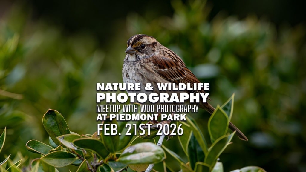 Atlanta Nature Photography Meetup - February 2026