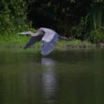 Nature Photography by Don Orkoskey