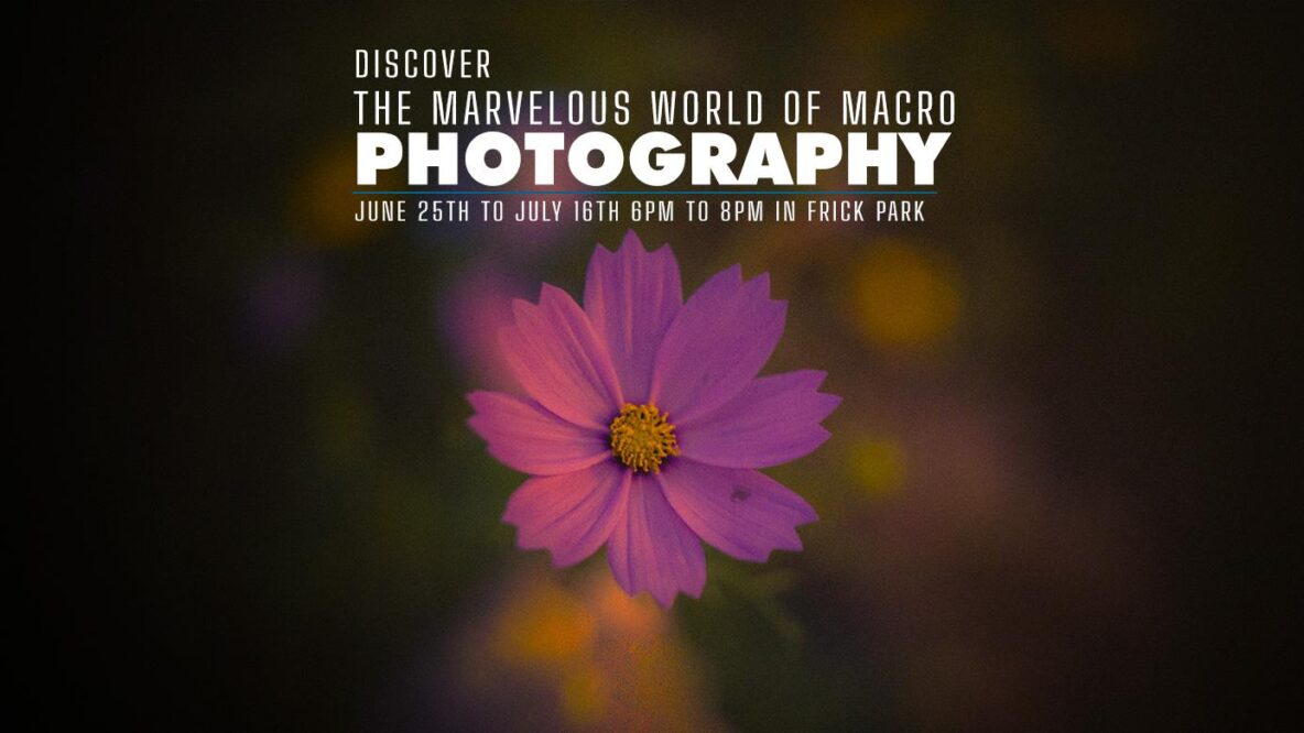Discover the Marvelous World of Macro Photography
