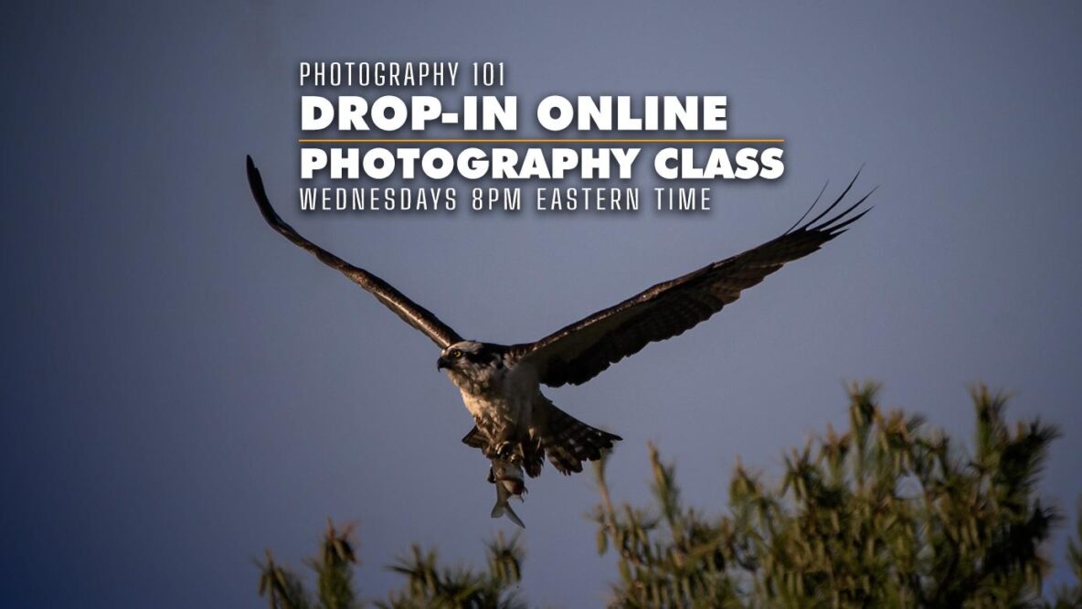 Photography 101 Online photography class