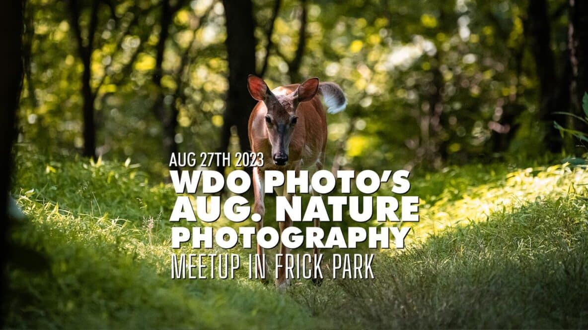 Nature Photography Meetup in Frick Park