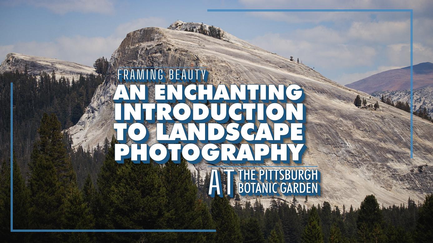 Framing Beauty: An Enchanting Introduction to Landscape Photography