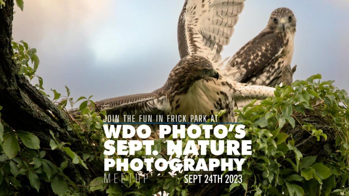 Pittsburgh Nature Photography Meetup - Sept. 2023