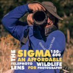 The Sigma 150-600 An Affordable Telephoto Lens for Wildlife Photography