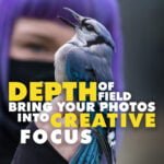 Depth of Field Bring Your Photos Into Creative Focus
