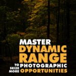 Master Dynamic Range
