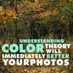 Understanding Color Theory