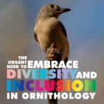 Embrace Diversity and Inclusion In Ornithology