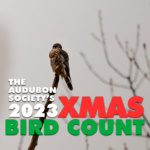 2023 Christmas Bird Count