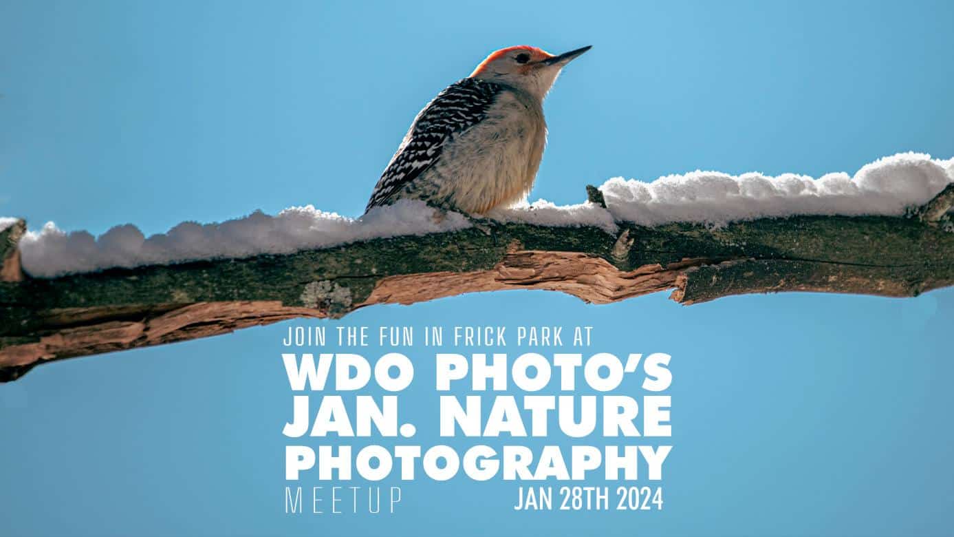 January 2024 Free Nature Photography Meetup