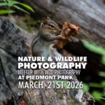 Atlanta Nature Photography Meetup - March 2026