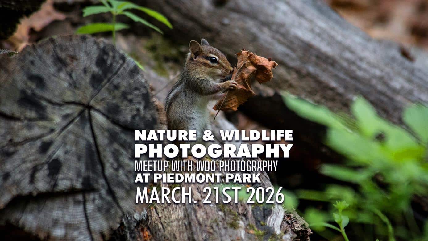 Atlanta Nature Photography Meetup - March 2026