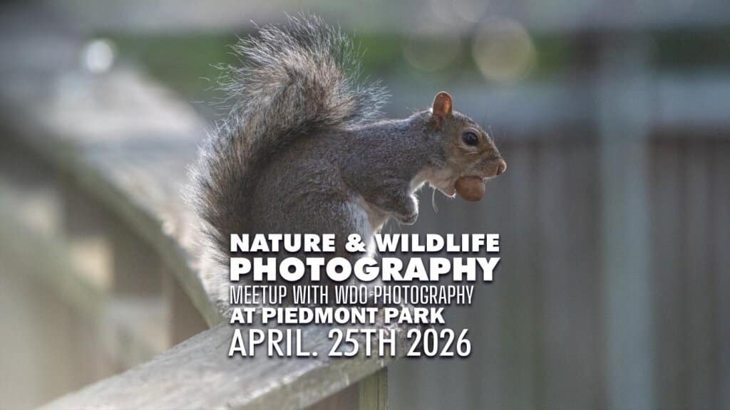 Piedmont Park Nature Photography Meetup - April 2026