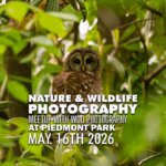 Piedmont Park Nature Photography Meetup - May 2026