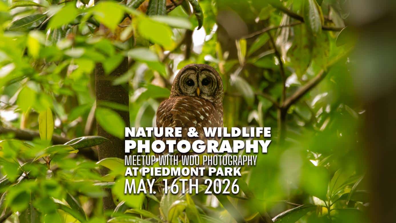Piedmont Park Nature Photography Meetup - May 2026
