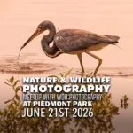 Piedmont Park Nature Photography Meetup