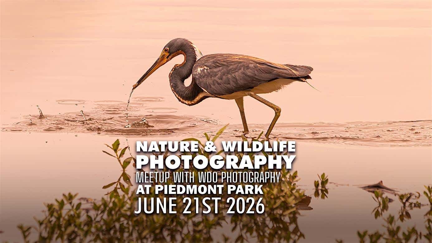 Piedmont Park Nature Photography Meetup
