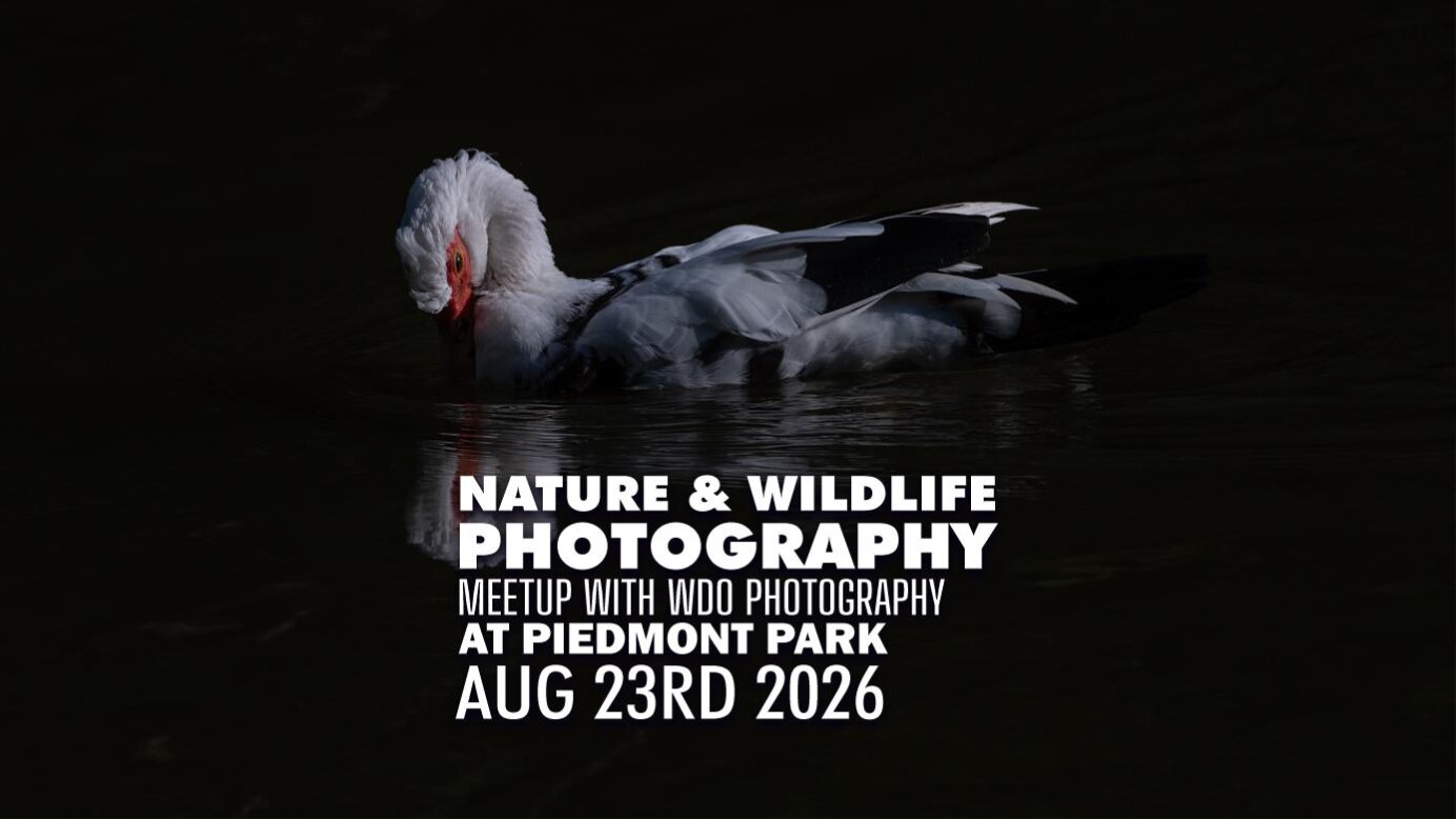 August Piedmont Park Nature Photography Meetup