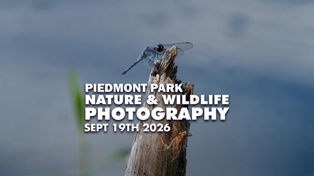Piedmont Park Nature & Wildlife Photography Meetup