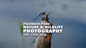 Piedmont Park Nature & Wildlife Photography Meetup