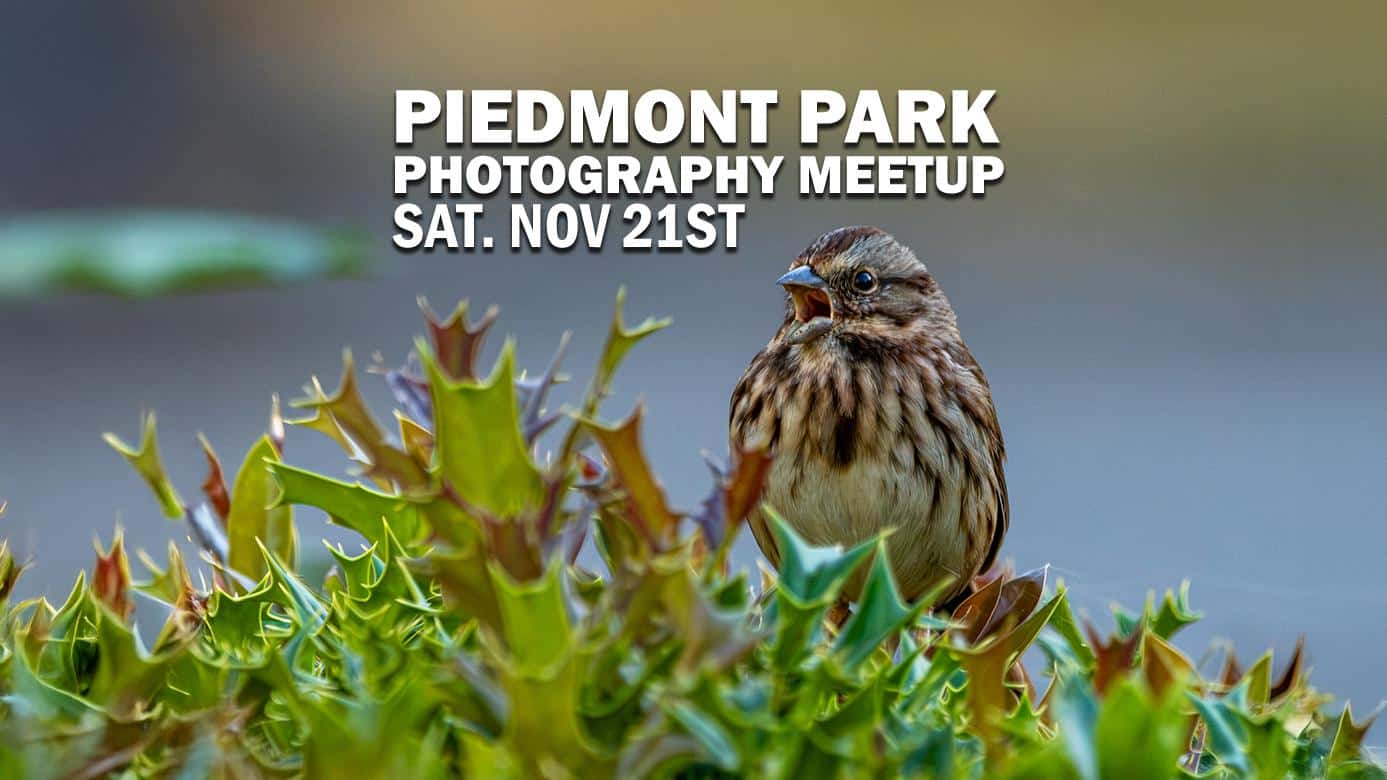 Featured image for “Piedmont Park Nature & Wildlife Photography Walk”