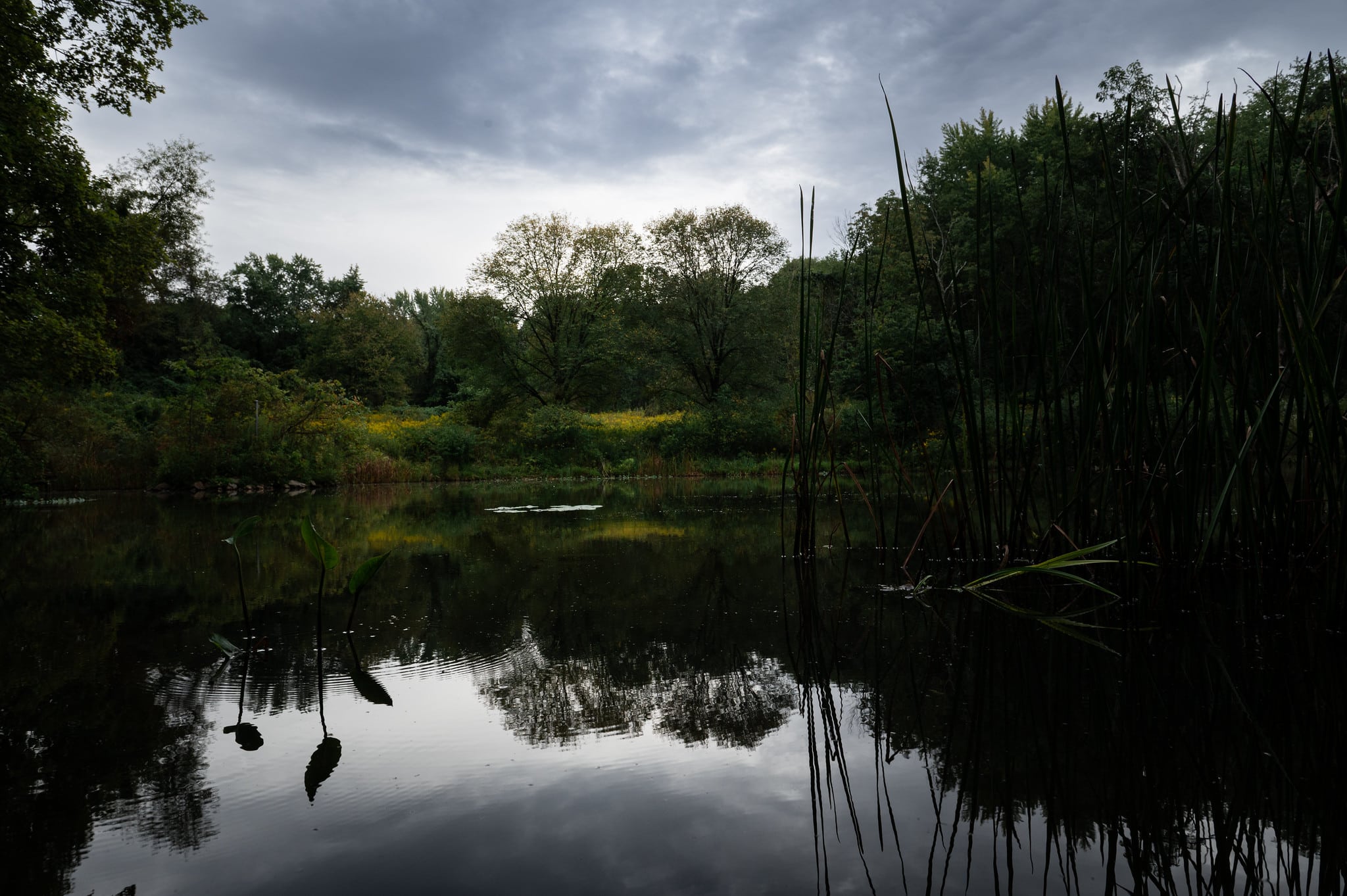 Landscape photograph of Beechwood Farms Pond by Don Orkoskey of WDO Photography, nature and wildlife photographers