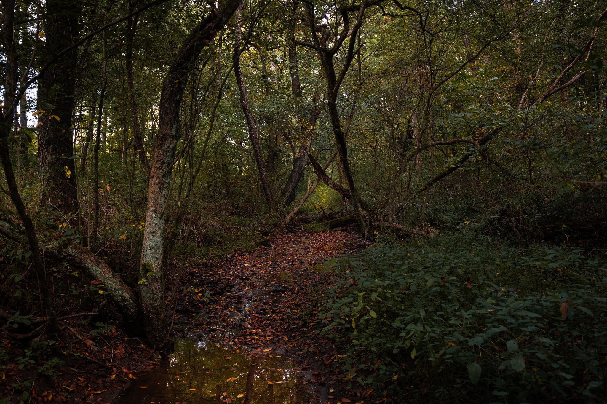 landscape photography by Don Orkoskey of WDO Photography