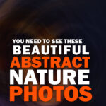 Abstract Nature Photos