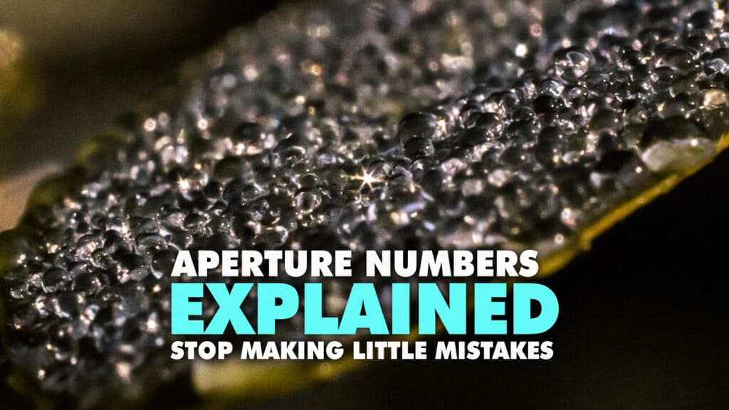 Aperture Numbers Explained