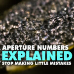 Aperture Numbers Explained