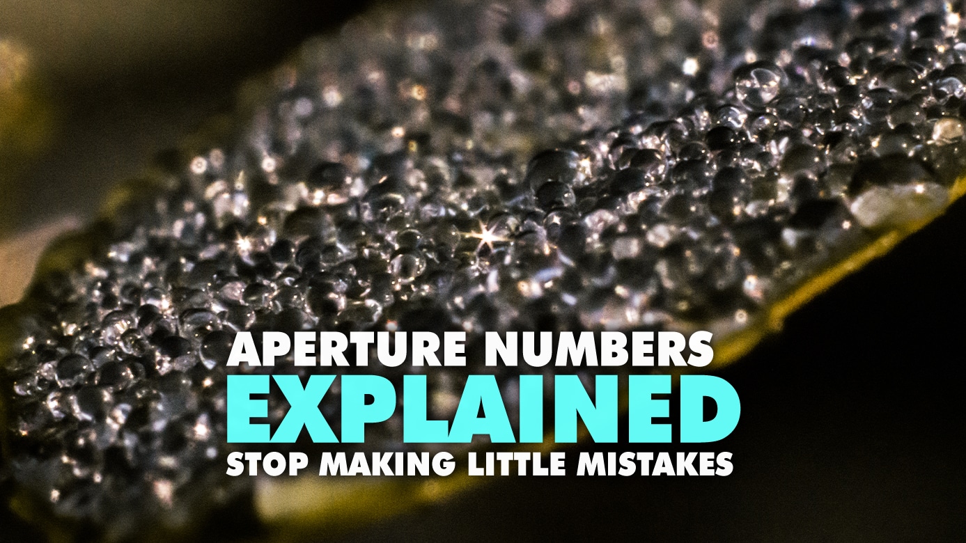 Aperture Numbers Explained