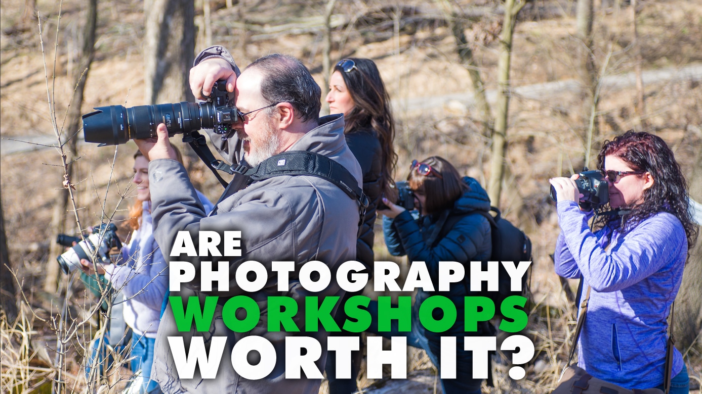 Are Photography Workshops Worth It
