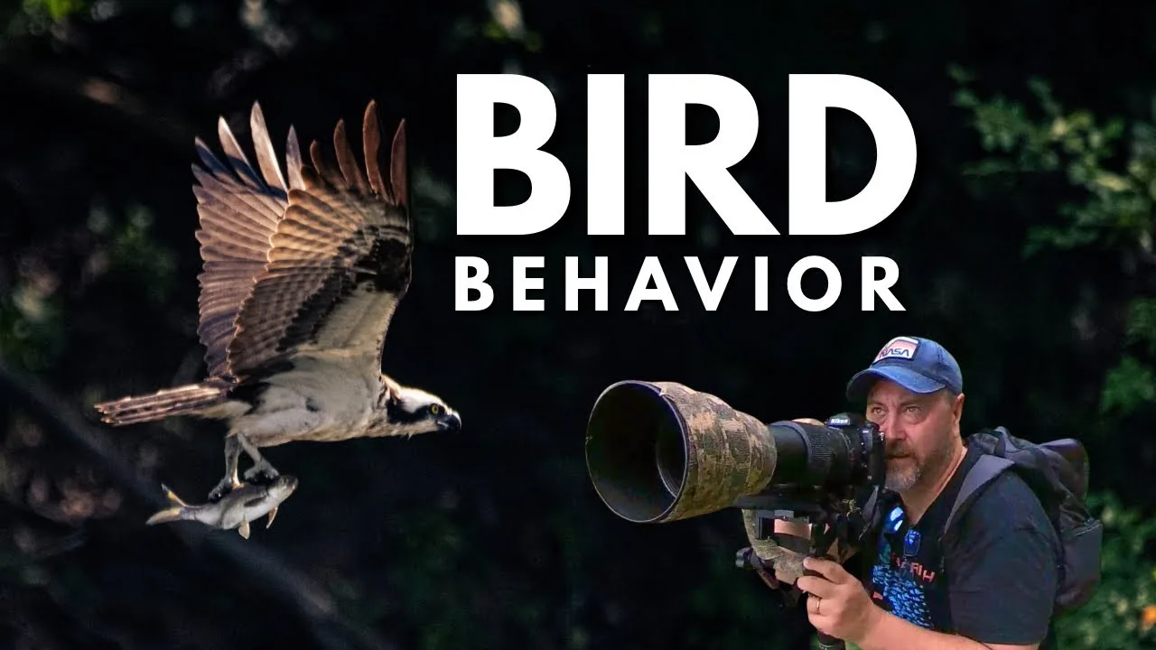 Learn Bird Behavior