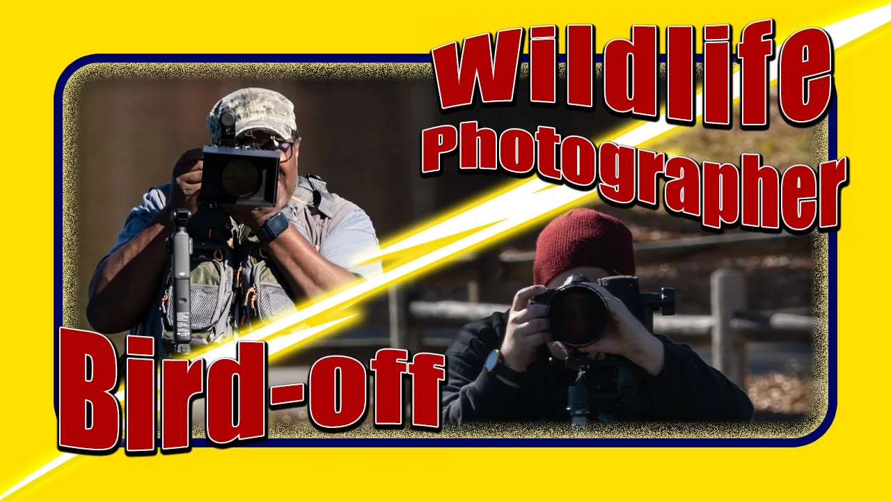 Wildlife Photography Competition - Bird Off with Thomas