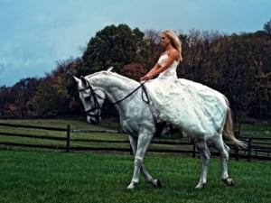 Trash the dress horse ride