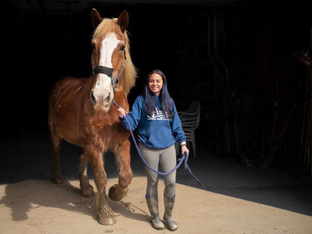 Business Marketing Photos