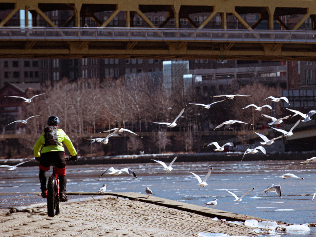 Small Business Photography