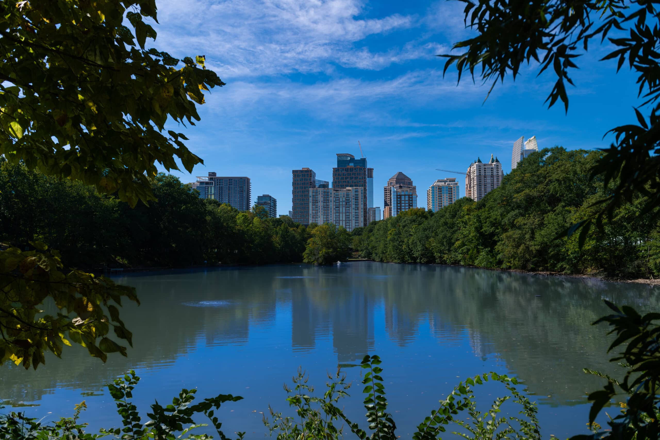 Piedmont Park in Atlanta's Scenic Neighborhood; Midtown