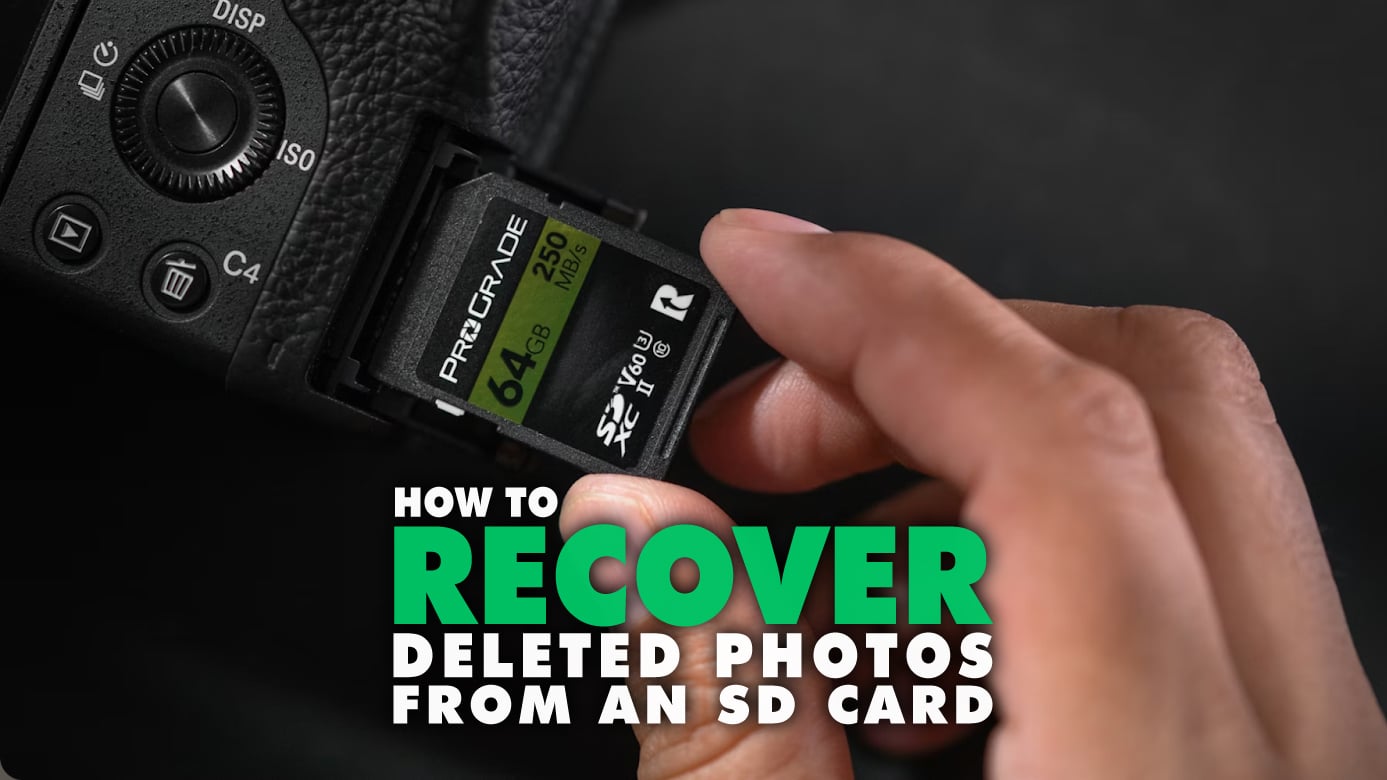 How To Recover Deleted Photos From An SD Card