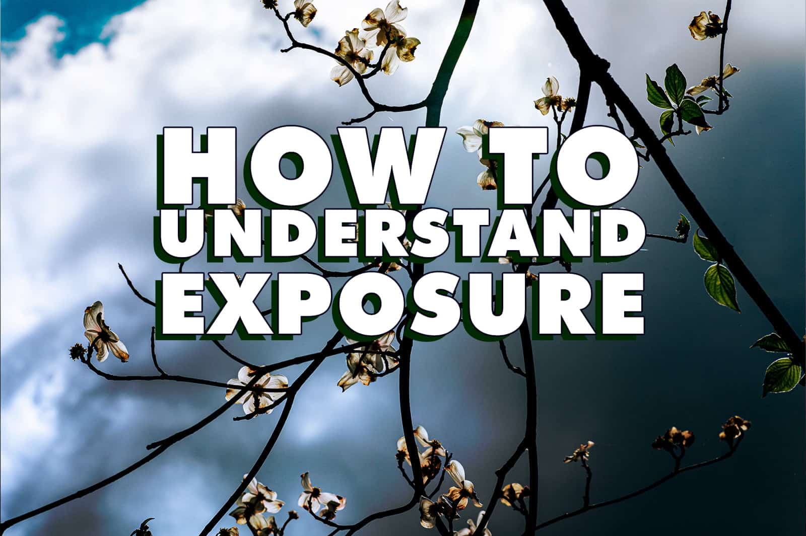 Featured image for “How To Understand Photography Exposure”
