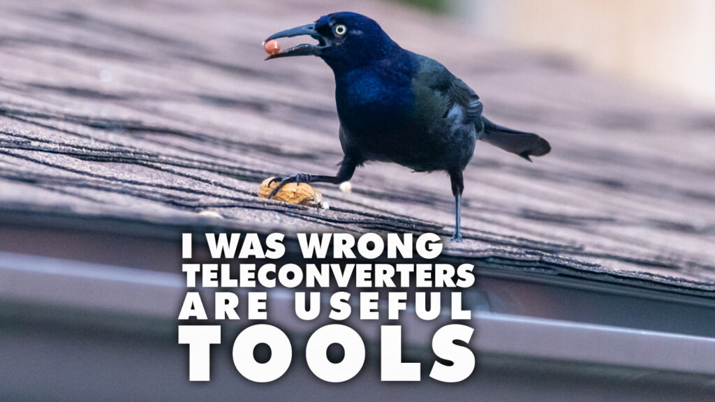 Teleconverters are useful photography tools.