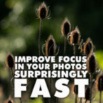 Improve Focus In Your Photos Surprisingly Fast