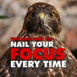 Nail Your Focus Every Time